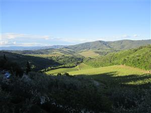 Chianti 